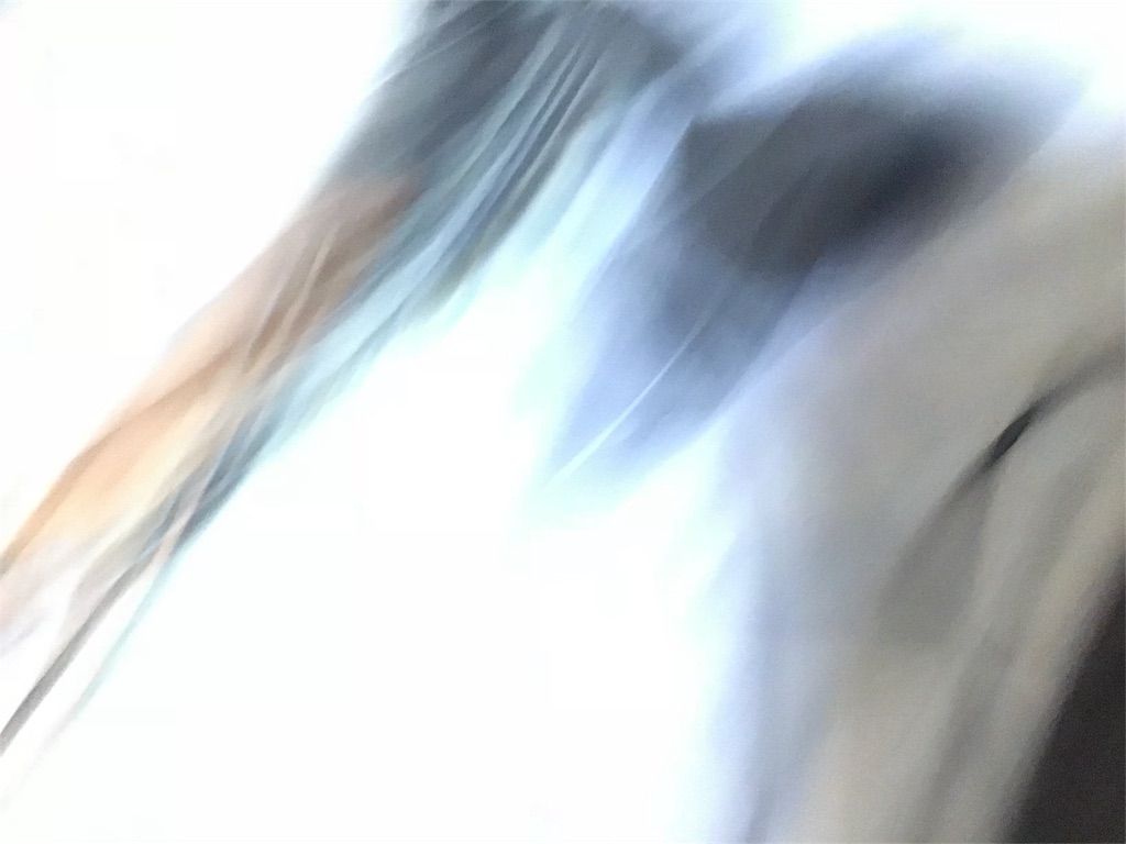 f:id:all-apologies:20181018012828j:image f:id:all-apologies:20181018012828j:image