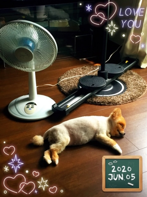 f:id:all-nissin:20200702174752j:plain f:id:all-nissin:20200702174752j:plain