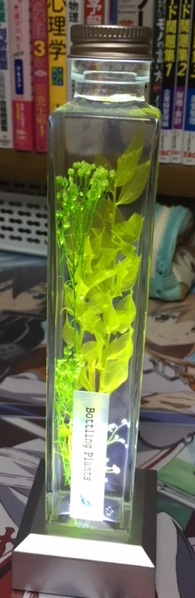 f:id:all-round:20180706011637j:plain