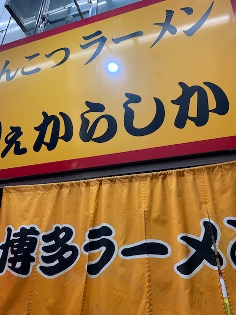 f:id:all-round:20190611144343j:plain f:id:all-round:20190611144343j:plain