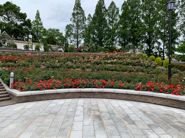 f:id:all-round:20190618221255j:plain f:id:all-round:20190618221255j:plain