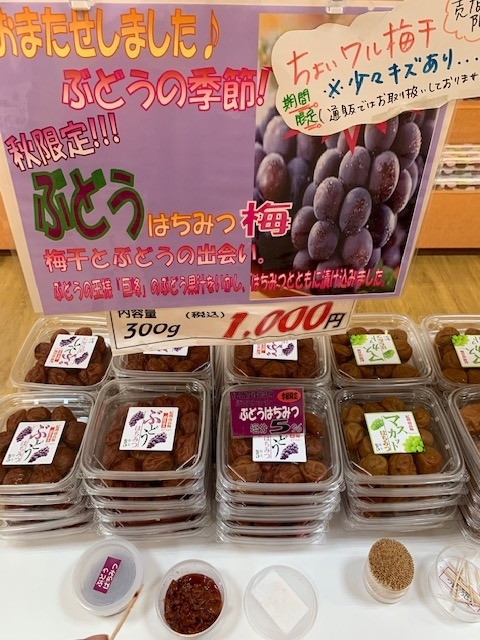 f:id:all-round:20191105130405j:plain f:id:all-round:20191105130405j:plain
