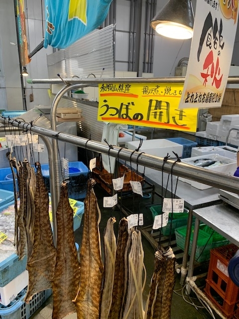 f:id:all-round:20191105134335j:plain f:id:all-round:20191105134335j:plain