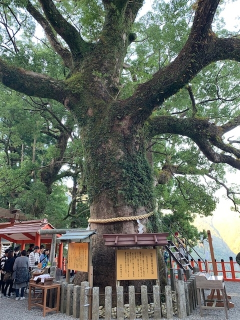f:id:all-round:20191105135016j:plain f:id:all-round:20191105135016j:plain
