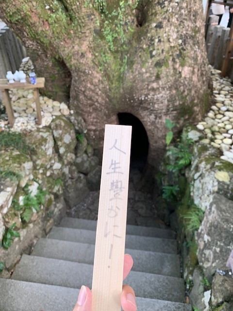 f:id:all-round:20191105135033j:plain f:id:all-round:20191105135033j:plain