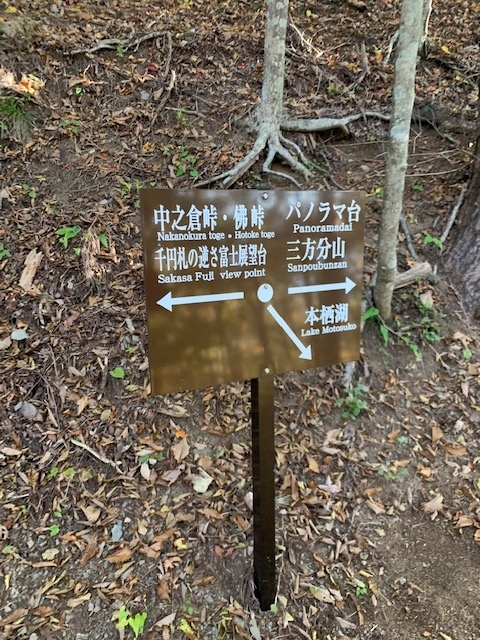 f:id:all-round:20201106140421j:plain
