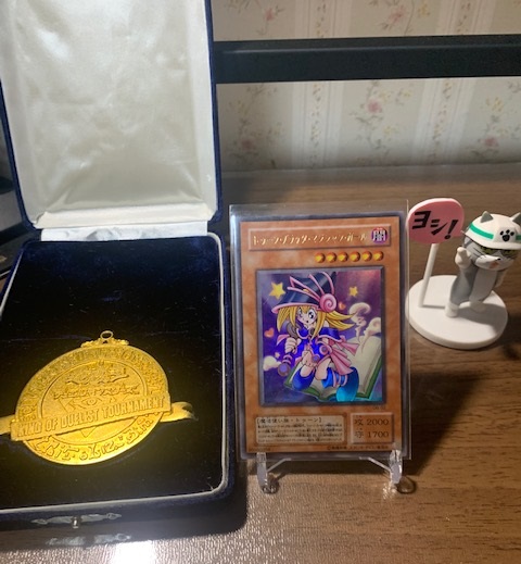 遊戯王 トゥーン ブラック マジシャン ガール ウルトラ 入手 Mr All Rounderへの歩み 遊戯王 トゥーン ブラック マジシャン ガール ウルトラ 入手 Mr All Rounderへの歩み