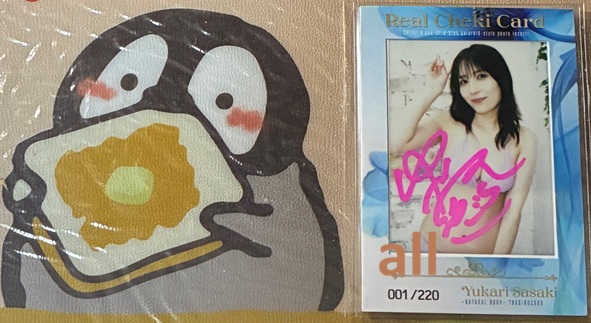 アイドル　ske 小林絵未奈 サイン入り生写真　シリアルナンバー入りカード アイドル ske 小林絵未奈 サイン入り生写真 シリアルナンバー入りカード