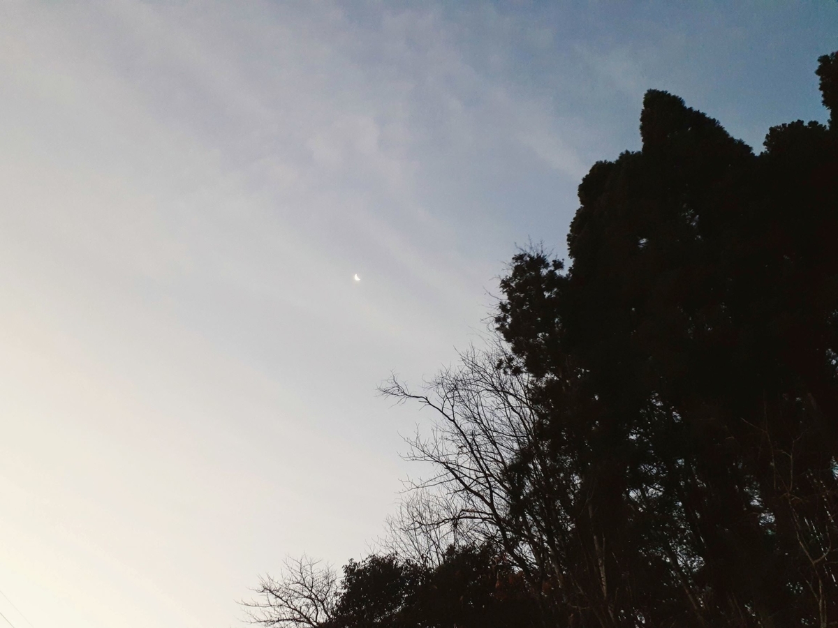 f:id:alla_marca:20201210094631j:plain