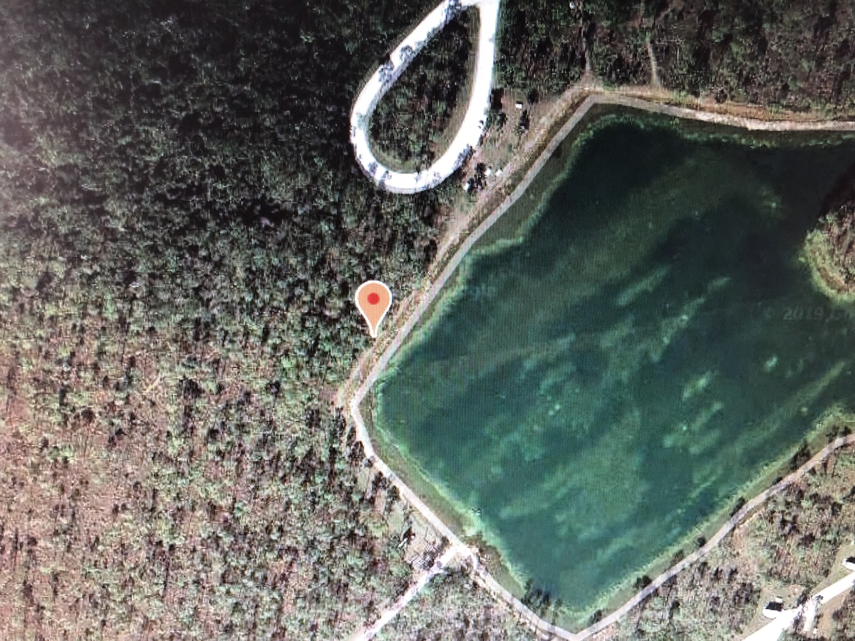f:id:alleni:20190707172625j:plain f:id:alleni:20190707172625j:plain