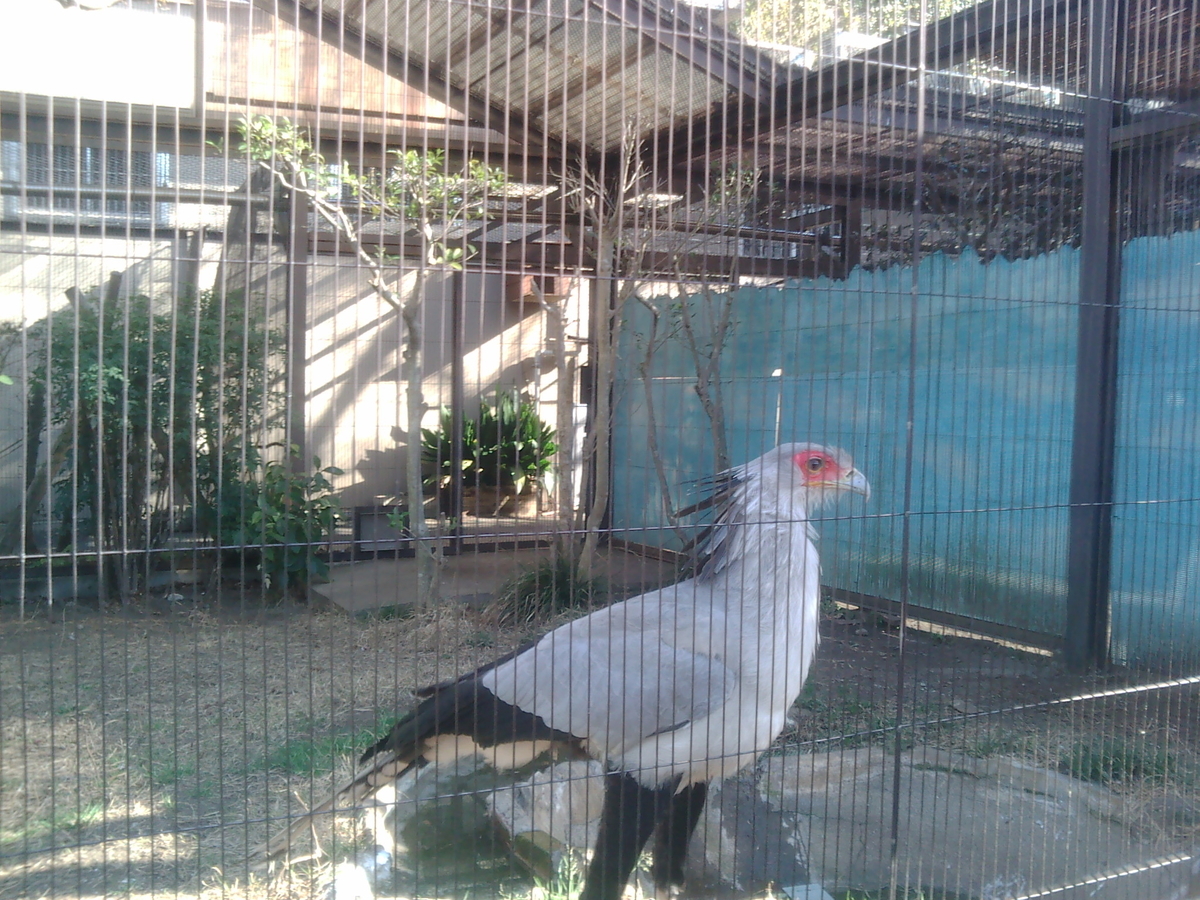 f:id:allenkk:20110404153607j:plain