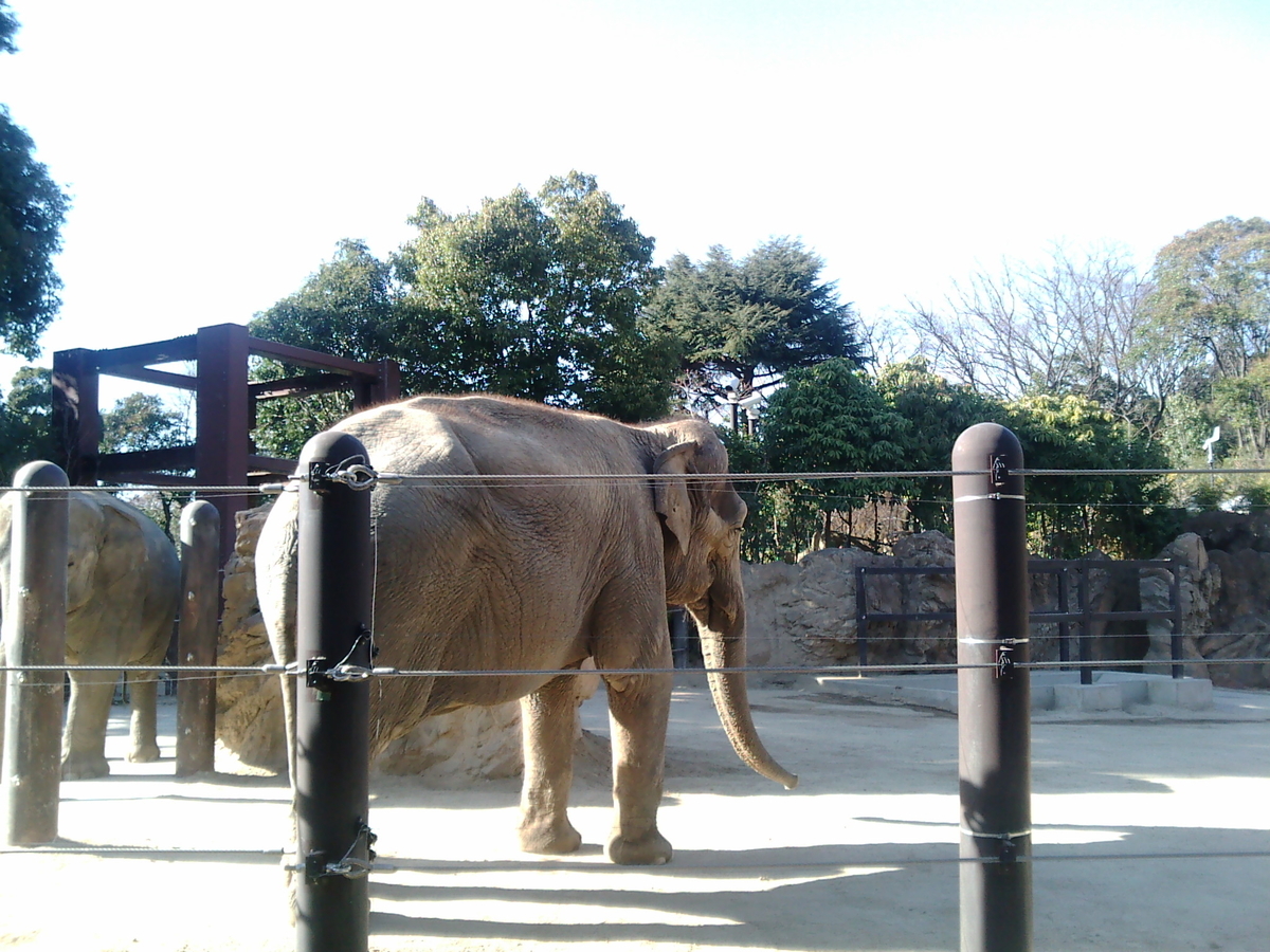 f:id:allenkk:20110404155003j:plain