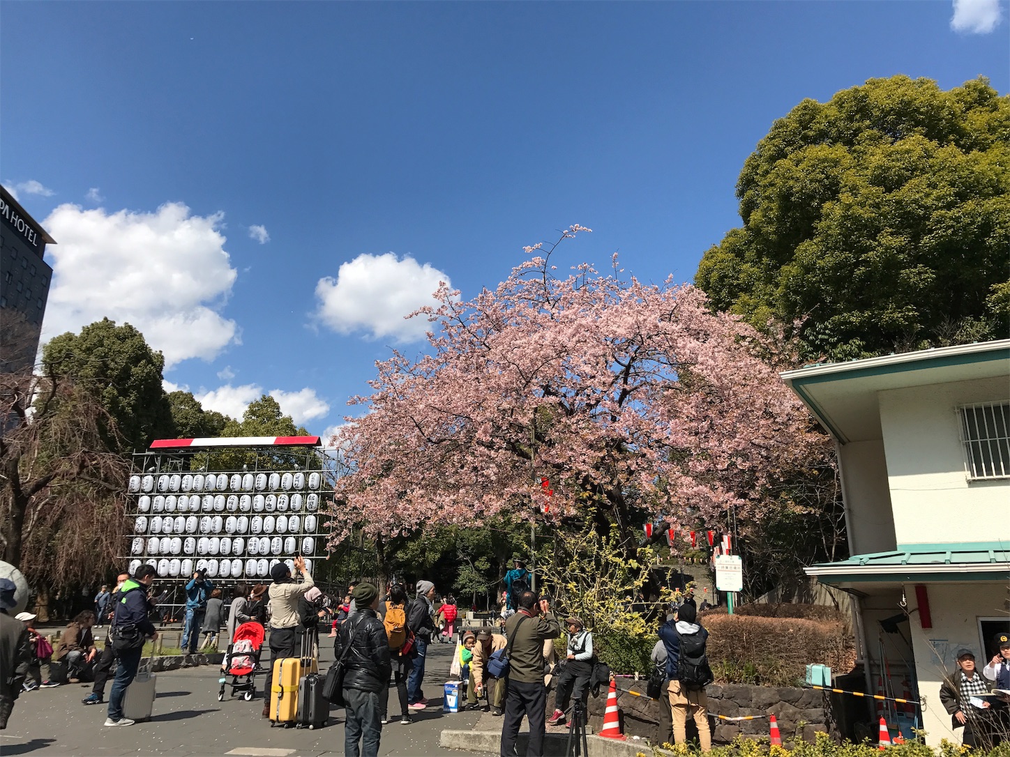 f:id:allenkk:20190727003856j:plain