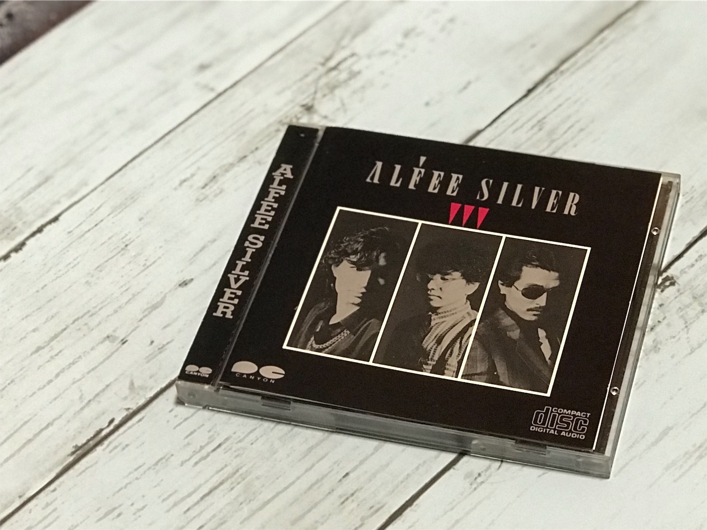 NeoLynx様専用 THE ALFEE 1987年 二枚舌デザイン Gジャン