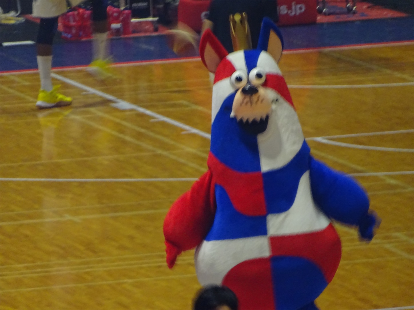 f:id:allenkk:20191024215146j:image