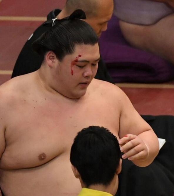 大鵬の孫 王鵬よ令和のスター力士になれるか めちゃくちゃ面白いエンタメと成功へのブログ