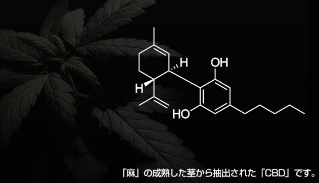 f:id:allergieslife:20191010220901j:plain おしゃれでかっこいい吸うCBD +WEED2