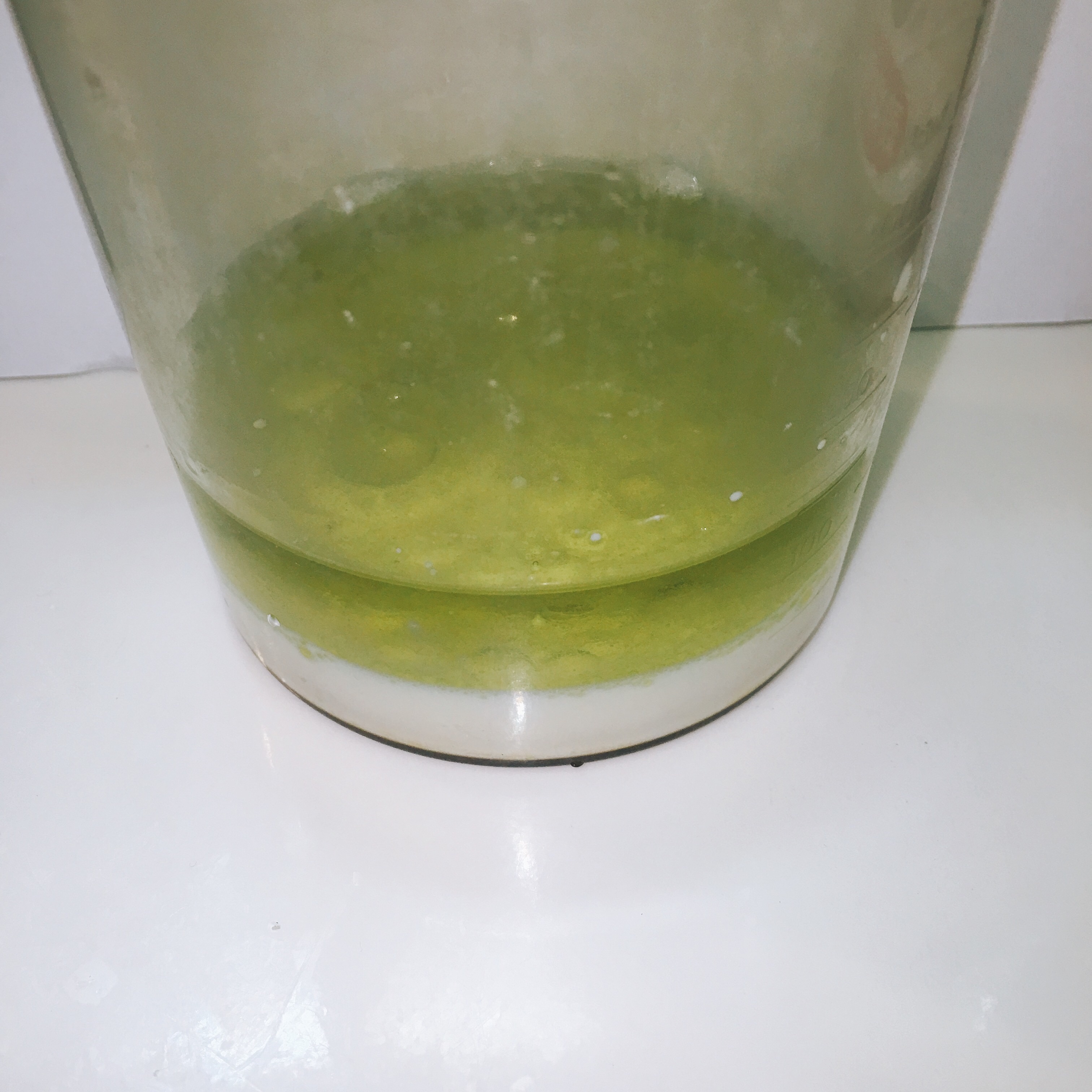 f:id:allergy_nagasakikko:20160706083626j:image