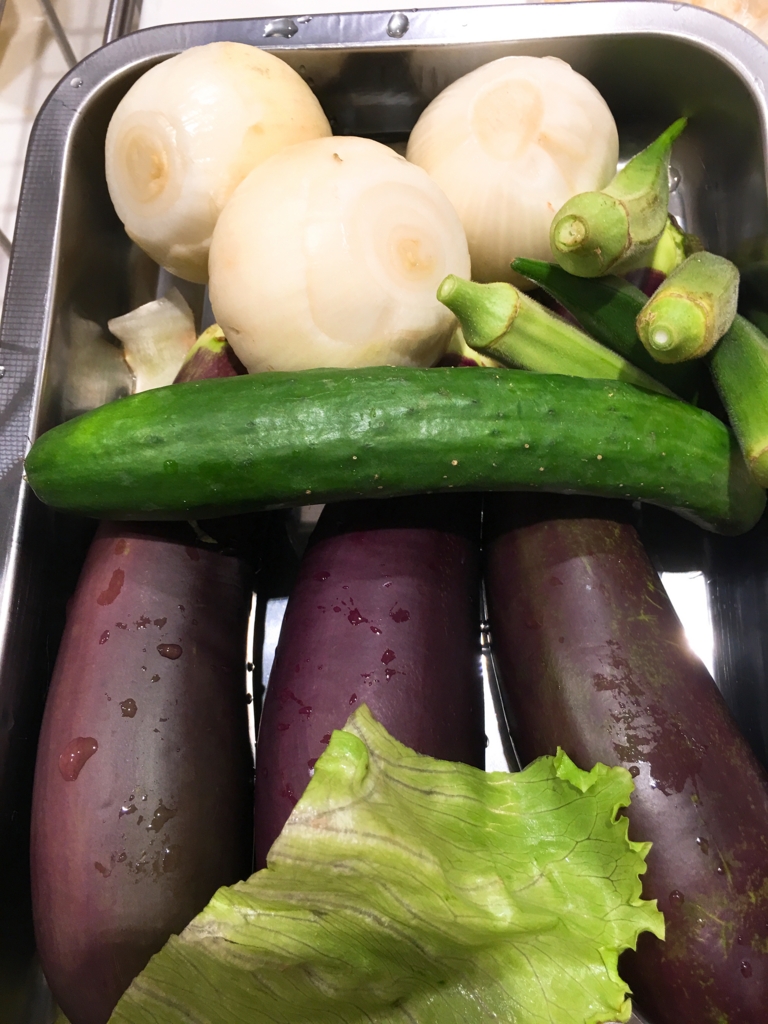 f:id:allergy_nagasakikko:20160823182923j:plain