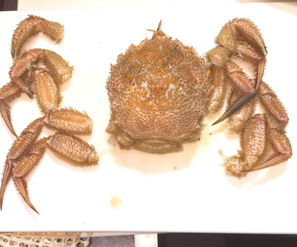 f:id:allergy_nagasakikko:20161004215200j:plain