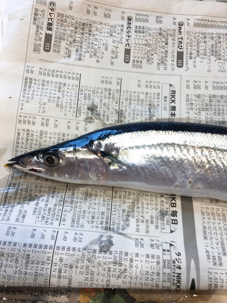 f:id:allergy_nagasakikko:20161013132231j:plain