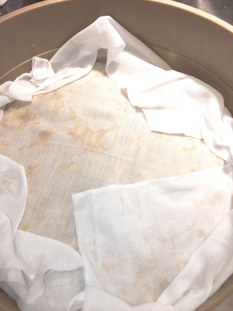 f:id:allergy_nagasakikko:20161024161929j:plain