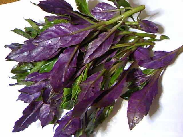 f:id:allergy_nagasakikko:20161109105617p:plain