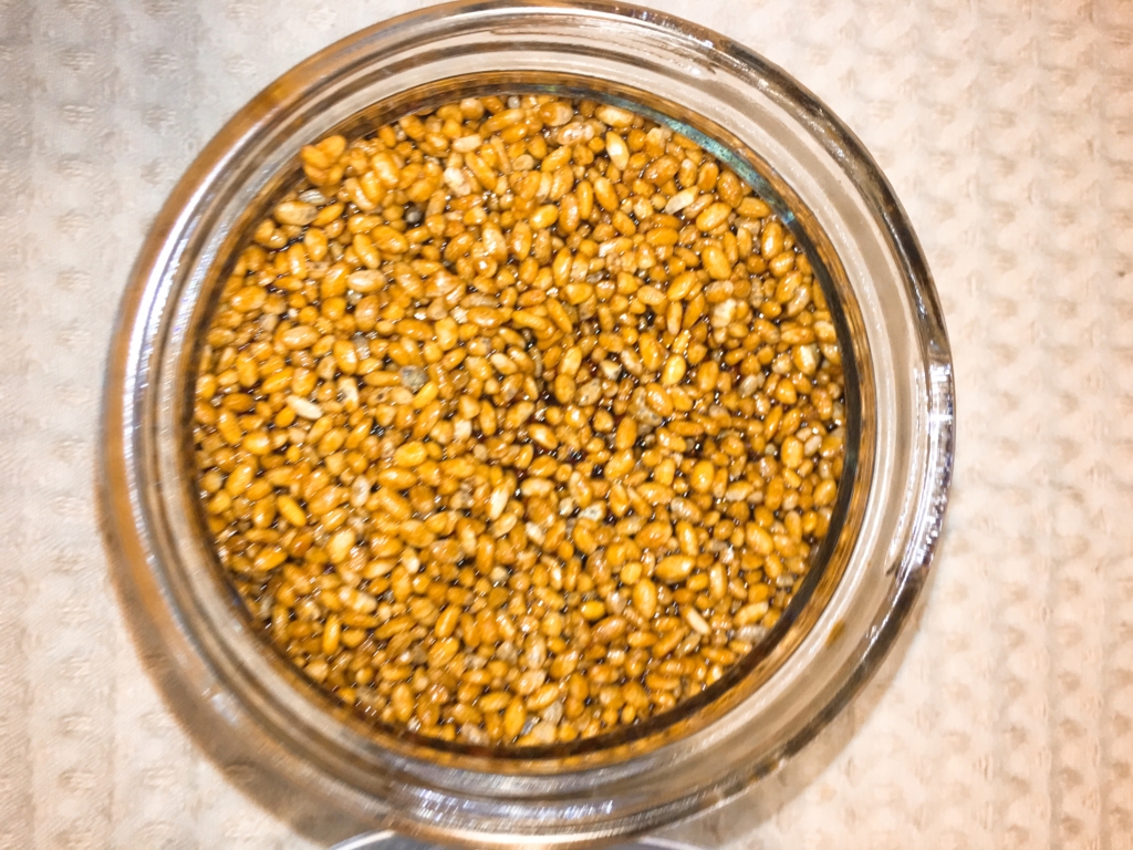 f:id:allergy_nagasakikko:20161117092042j:plain