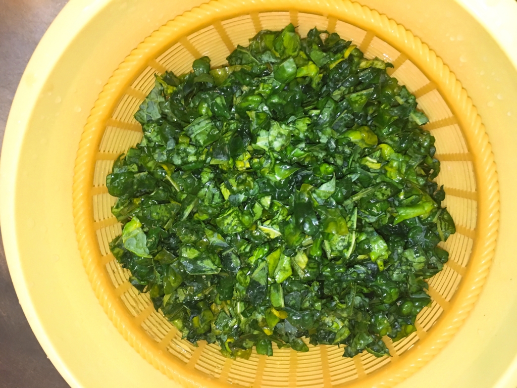 f:id:allergy_nagasakikko:20161122080251j:plain f:id:allergy_nagasakikko:20161122080251j:plain