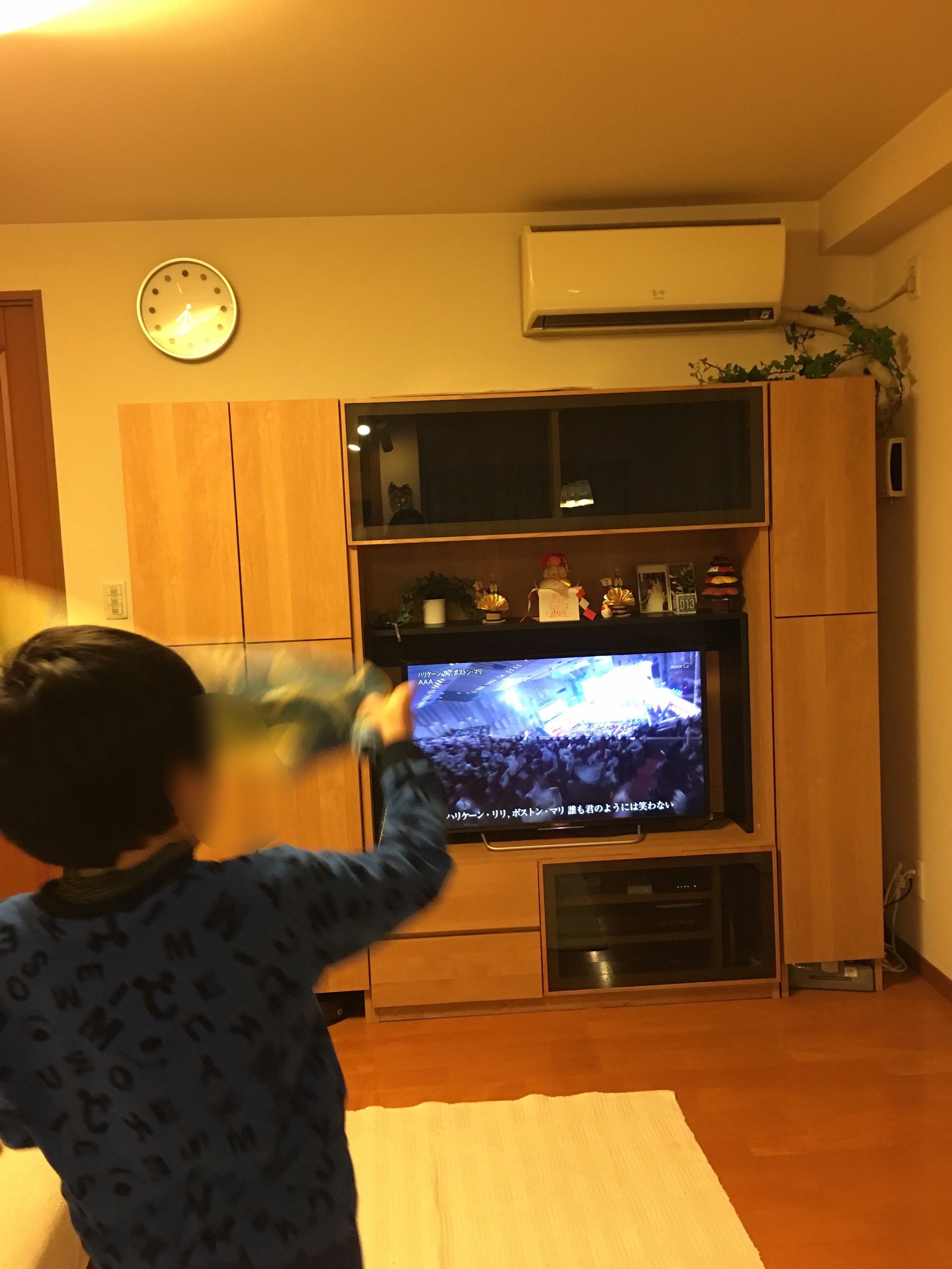 f:id:allergy_nagasakikko:20161231204433j:image f:id:allergy_nagasakikko:20161231204433j:image