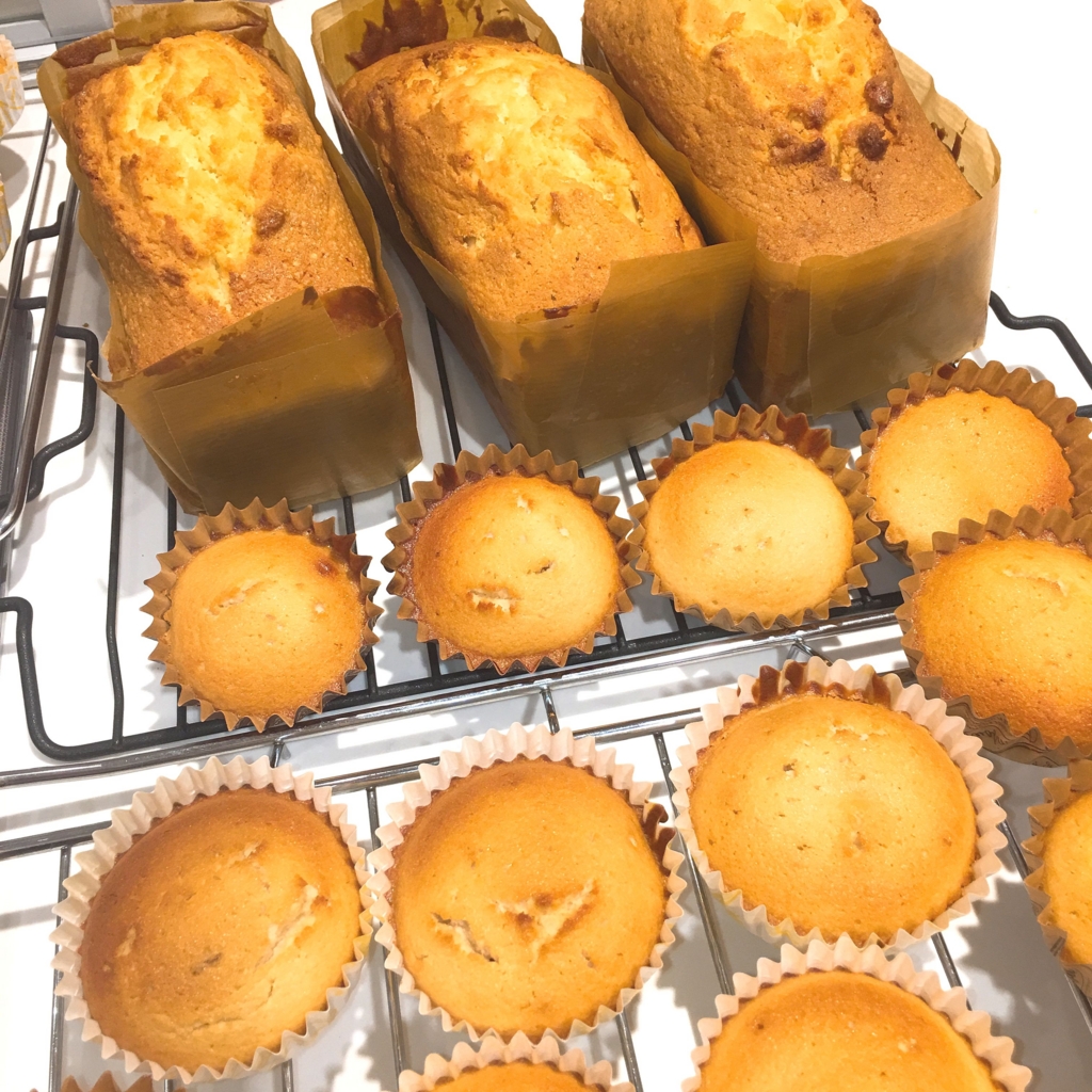 f:id:allergy_nagasakikko:20170125194701j:plain