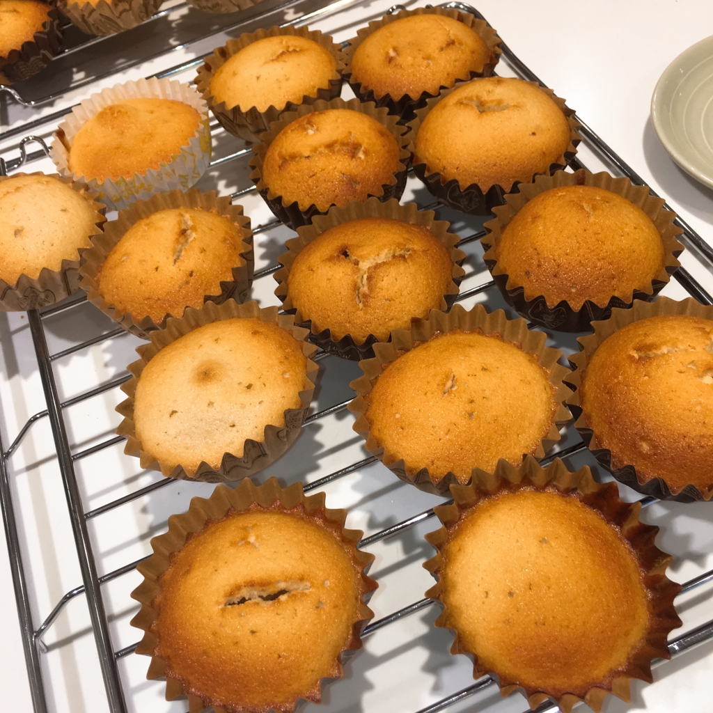 f:id:allergy_nagasakikko:20170125205143j:plain