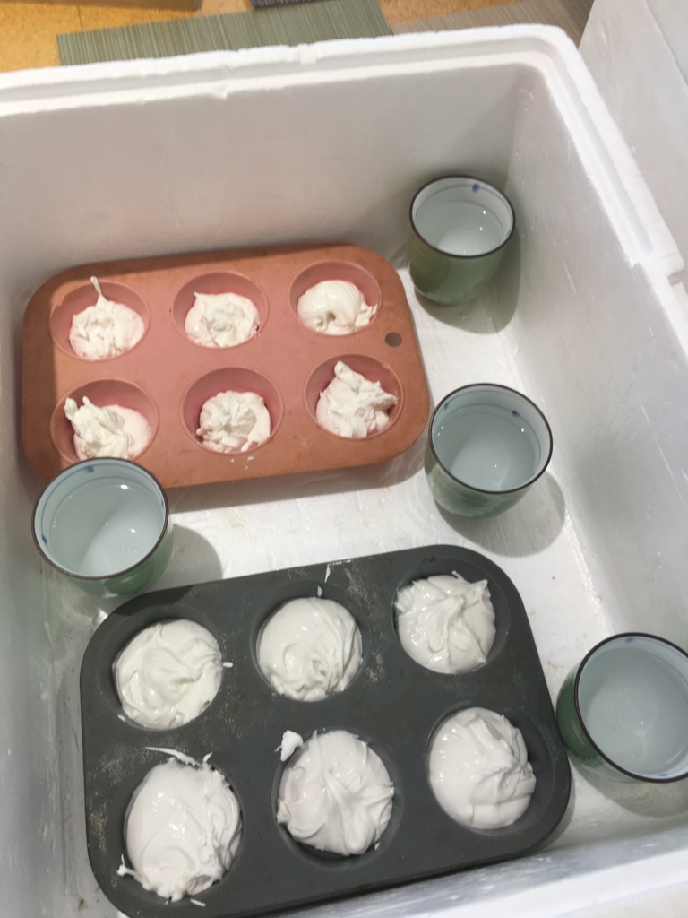 f:id:allergy_nagasakikko:20170311211528j:plain