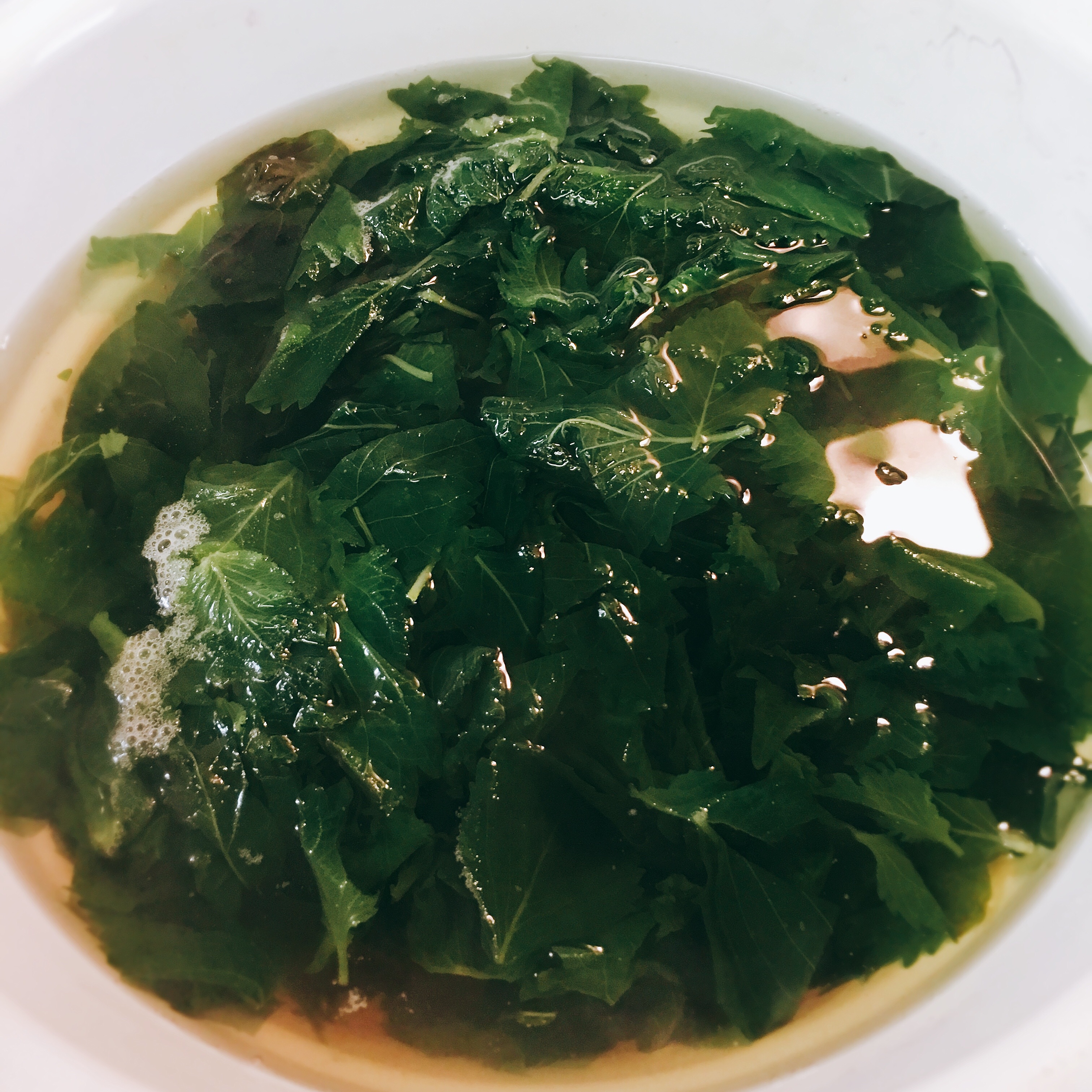 f:id:allergy_nagasakikko:20170511211344j:plain