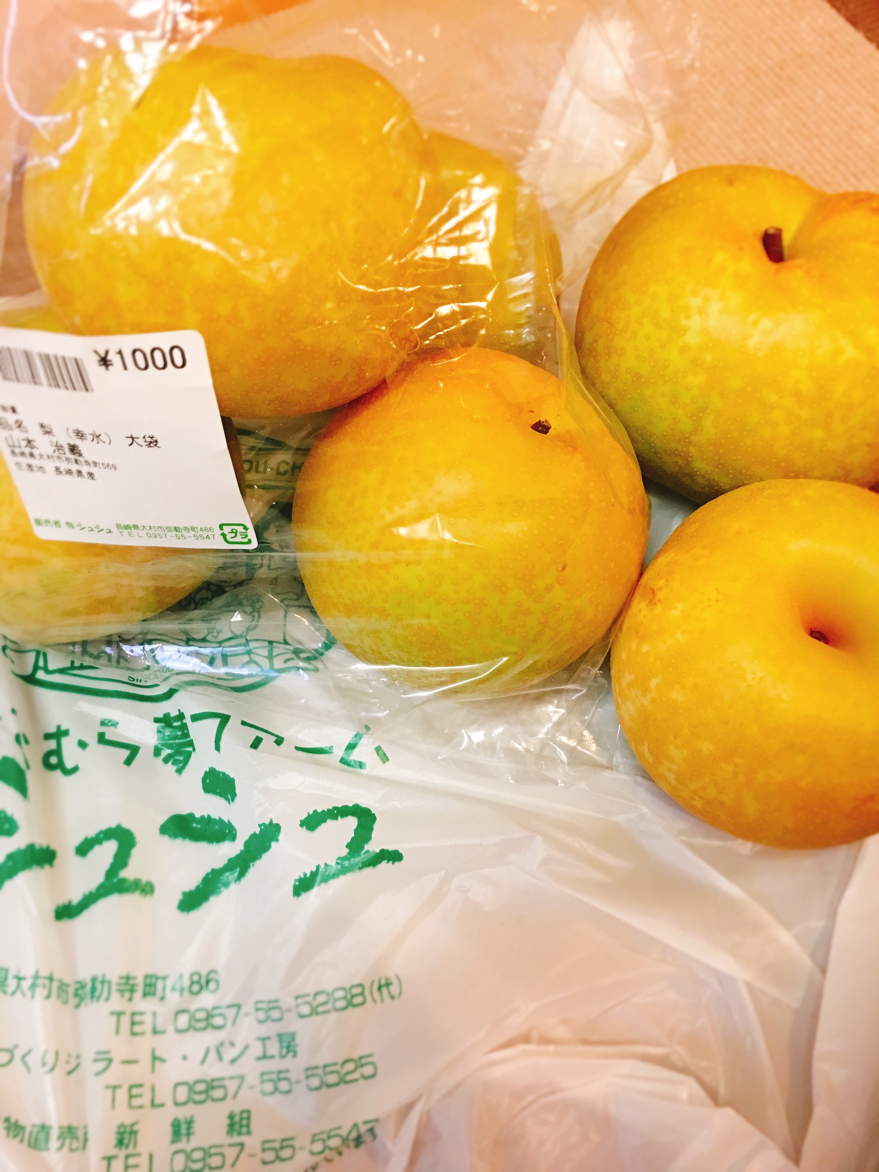 f:id:allergy_nagasakikko:20170813190737j:image f:id:allergy_nagasakikko:20170813190737j:image