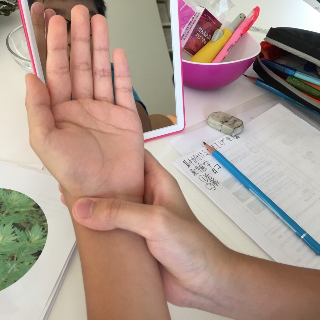 f:id:allergy_nagasakikko:20170820205235j:plain