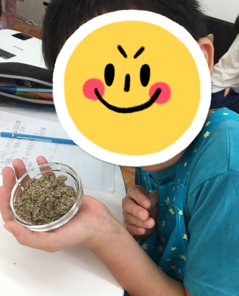 f:id:allergy_nagasakikko:20170820210342j:plain