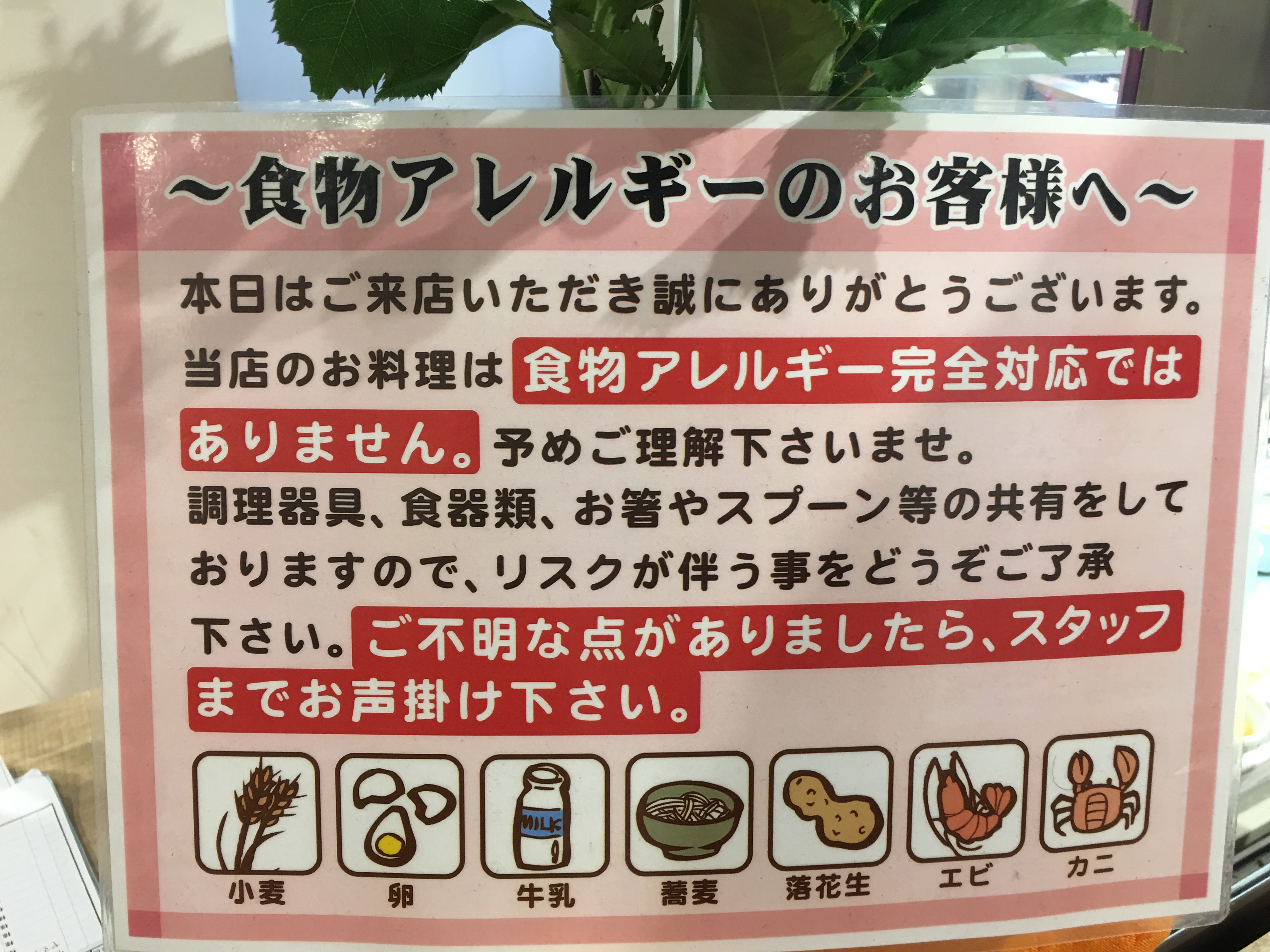 f:id:allergy_nagasakikko:20180322100057j:image f:id:allergy_nagasakikko:20180322100057j:image