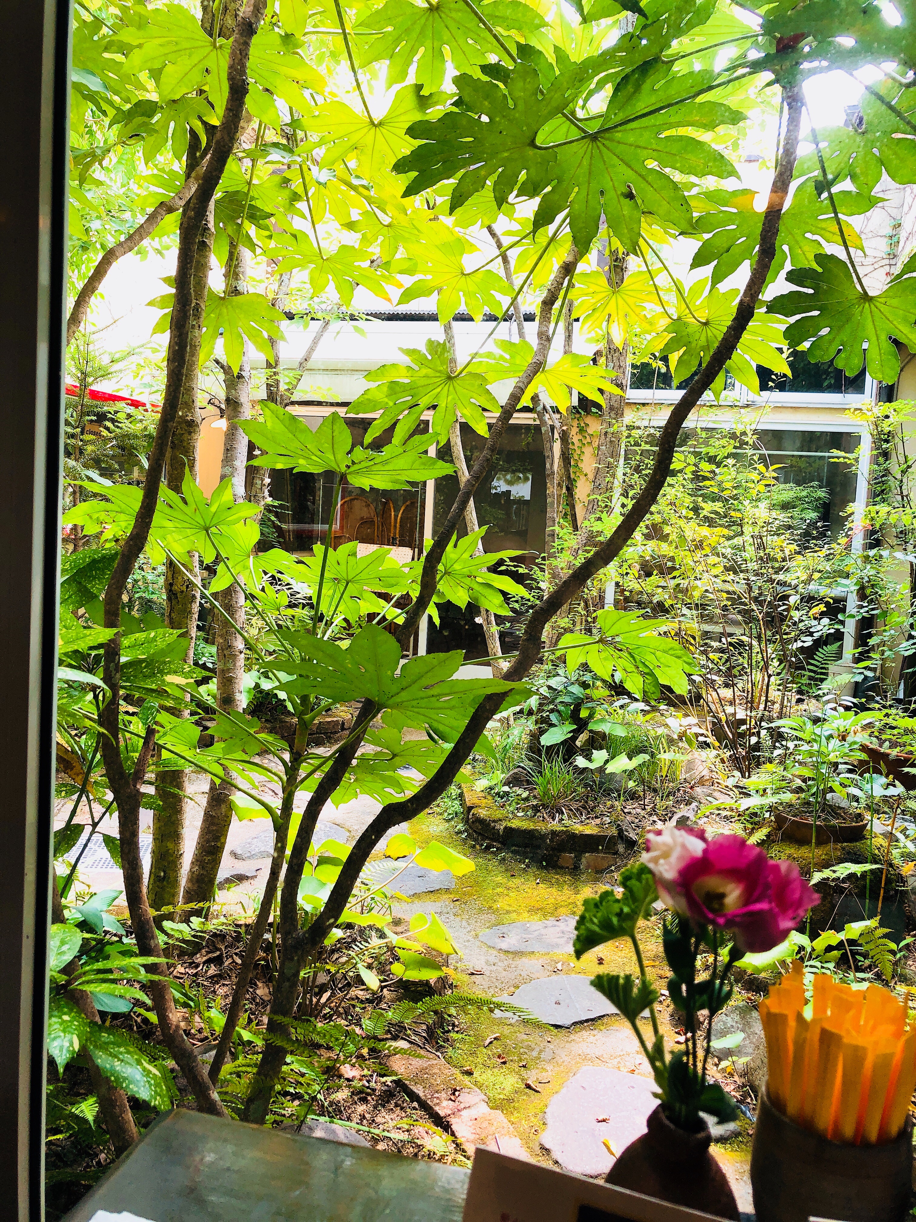 f:id:allergy_nagasakikko:20180717185521j:image f:id:allergy_nagasakikko:20180717185521j:image