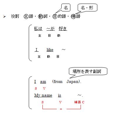 f:id:allergy_nagasakikko:20190523211712j:plain