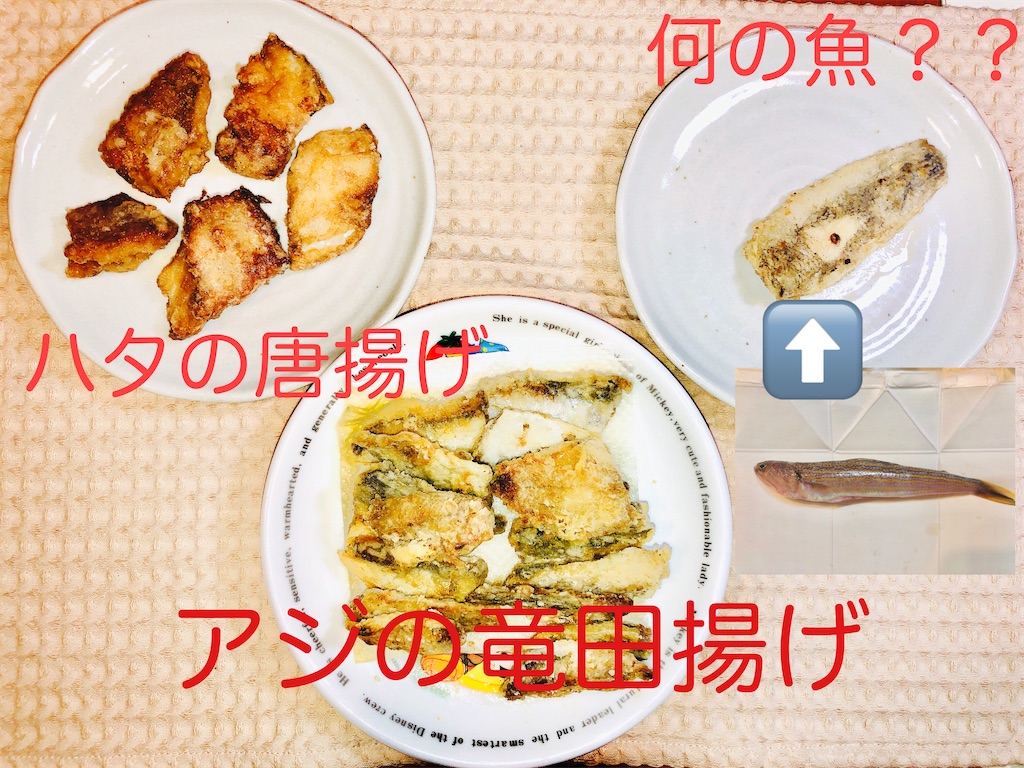 f:id:allergy_nagasakikko:20211113194809j:image f:id:allergy_nagasakikko:20211113194809j:image