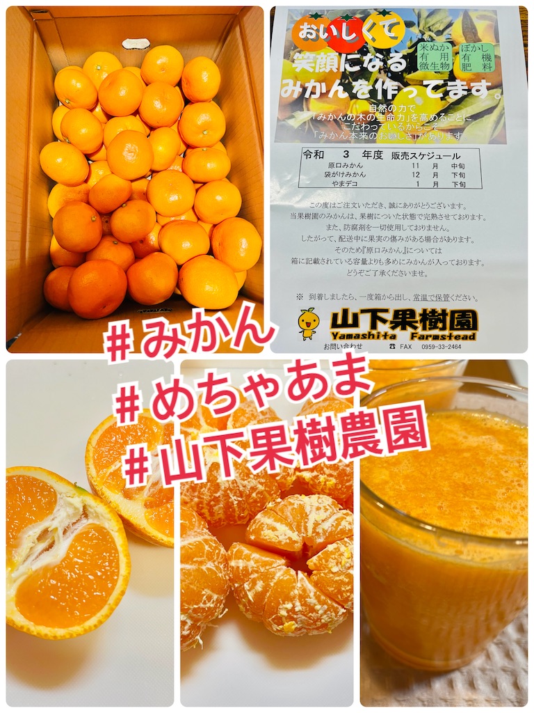 みかん めちゃあま 西海市 山下果樹農園 食物アレルギーっ子の日々のあれこれ みかん めちゃあま 西海市 山下果樹農園 食物アレルギーっ子の日々のあれこれ