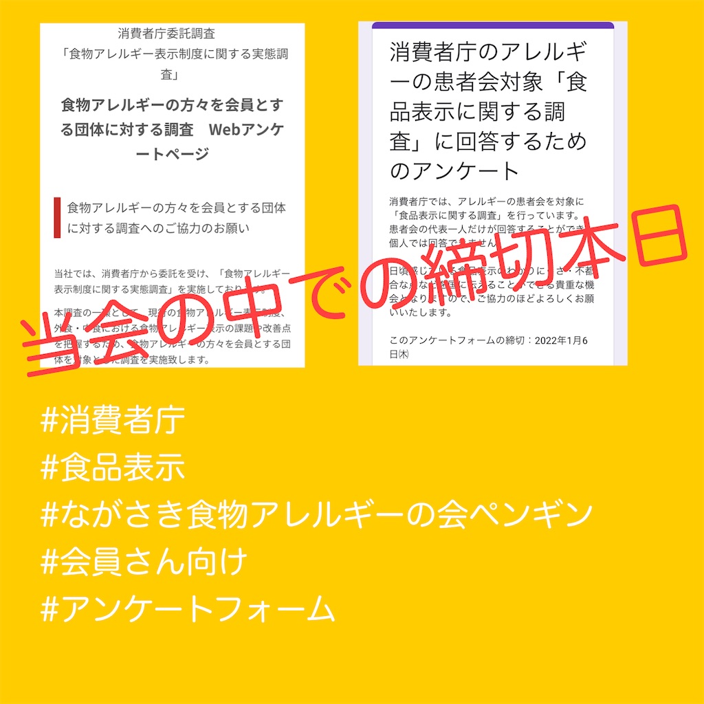 f:id:allergy_nagasakikko:20220104215419j:image f:id:allergy_nagasakikko:20220104215419j:image