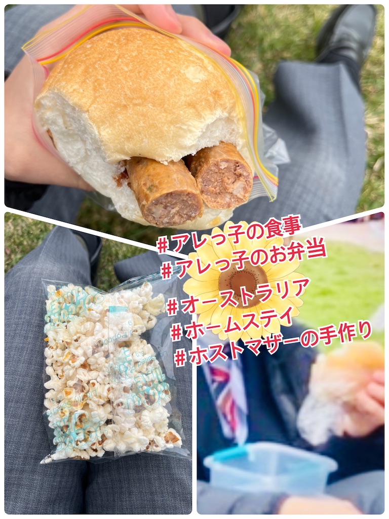 f:id:allergy_nagasakikko:20220819101830j:image f:id:allergy_nagasakikko:20220819101830j:image