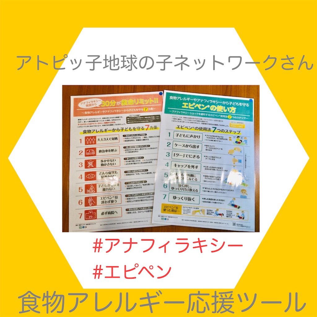 f:id:allergy_nagasakikko:20230217093734j:image f:id:allergy_nagasakikko:20230217093734j:image
