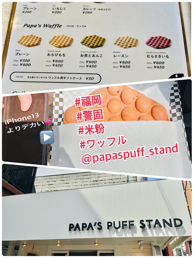 f:id:allergy_nagasakikko:20230401194806j:image