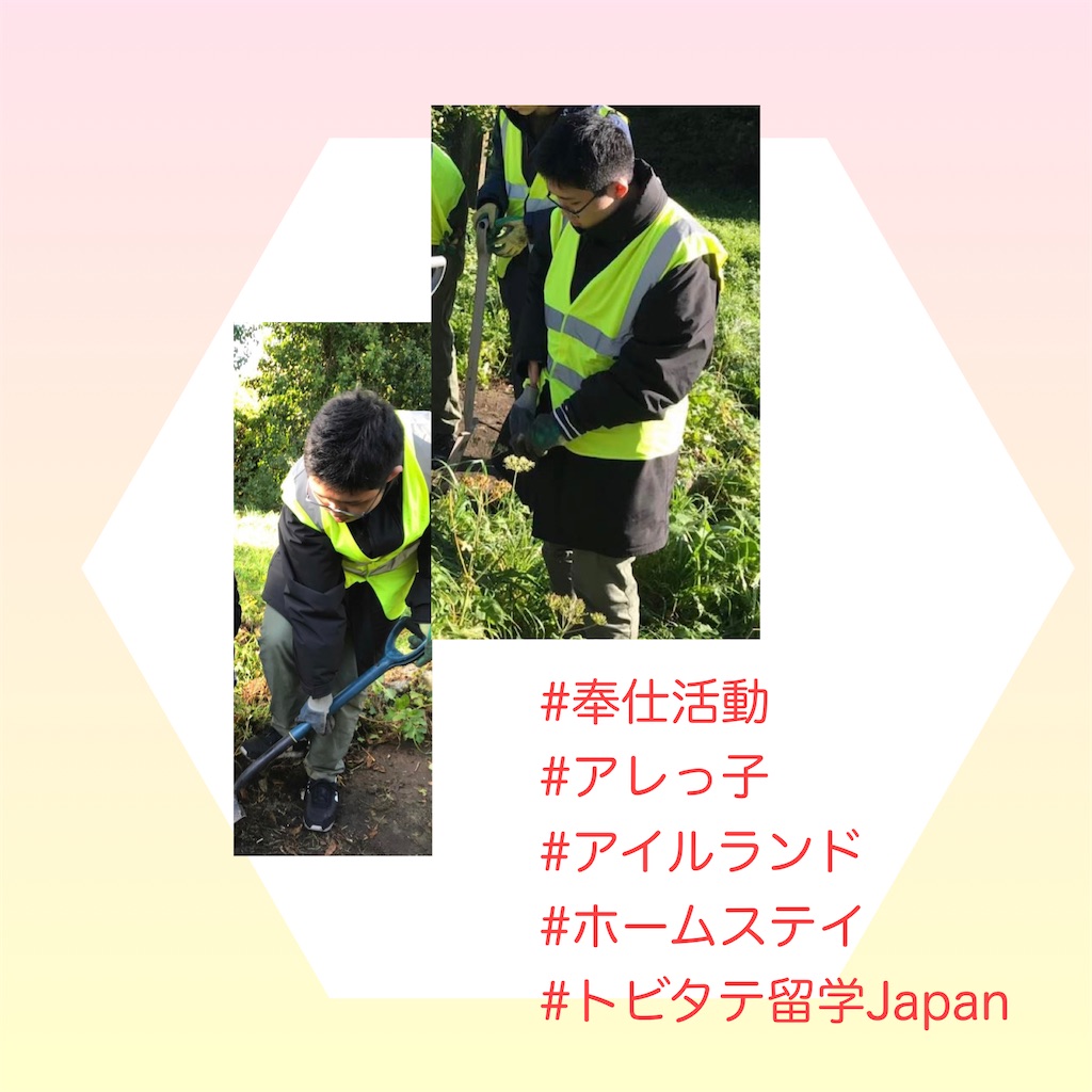 f:id:allergy_nagasakikko:20231019205530j:image