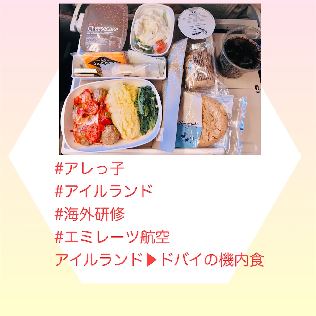 f:id:allergy_nagasakikko:20231027215452j:image f:id:allergy_nagasakikko:20231027215452j:image