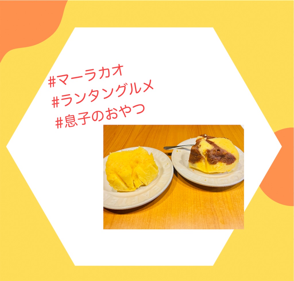 f:id:allergy_nagasakikko:20240217212103j:image f:id:allergy_nagasakikko:20240217212103j:image