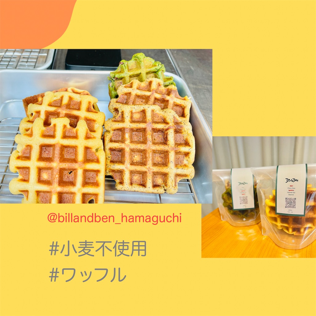 f:id:allergy_nagasakikko:20240319211400j:image